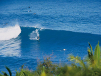 Le surf � la R�union