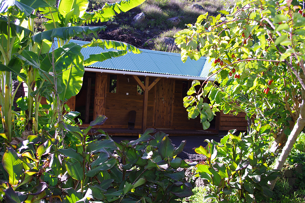 Photo  4 - La Miellerie de Marla - Mafate - Marla