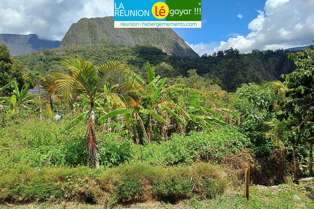 Photo  2 - Gîte Chez Gigi - Mafate - îlet à Malheur
