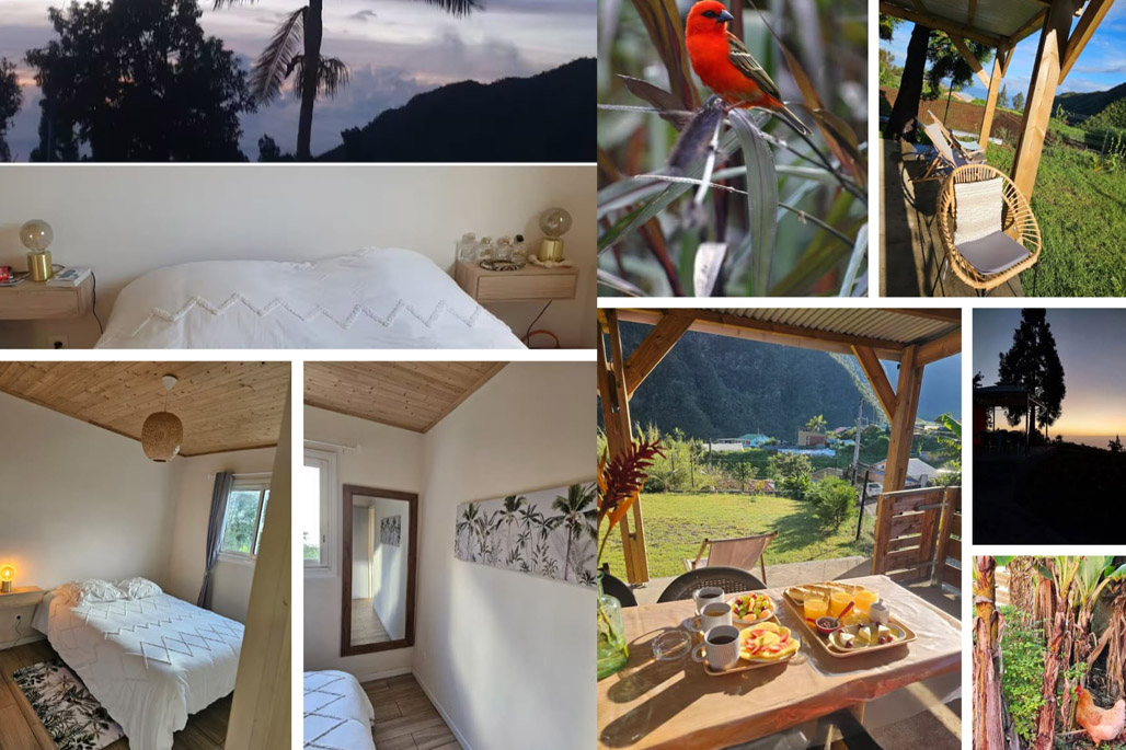 Photo  6 - Au Coeur des Plantations  - Dos d'âne