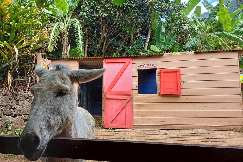 Photo 5 - Grand Bassin