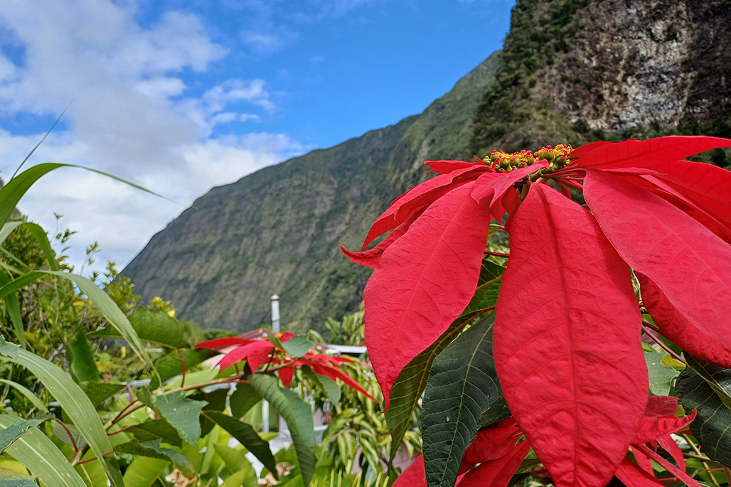 Photo 8 - Grand Bassin