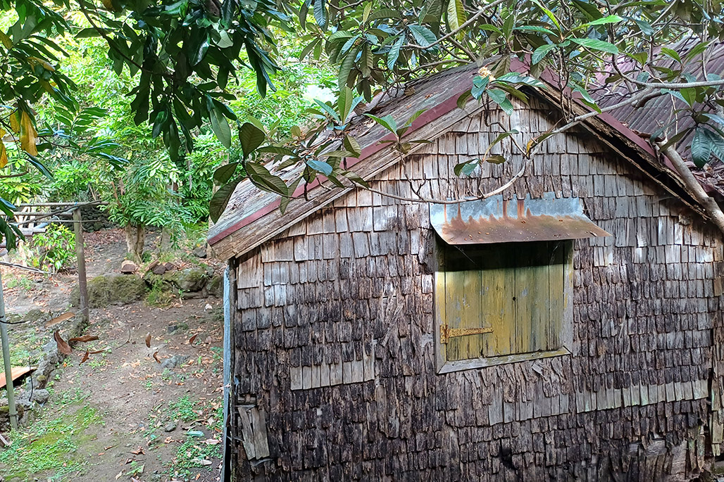 Photo 9 - Grand Bassin