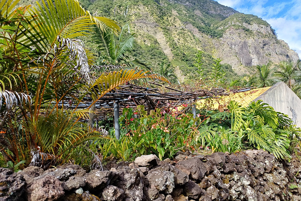 Photo 11 - Grand Bassin