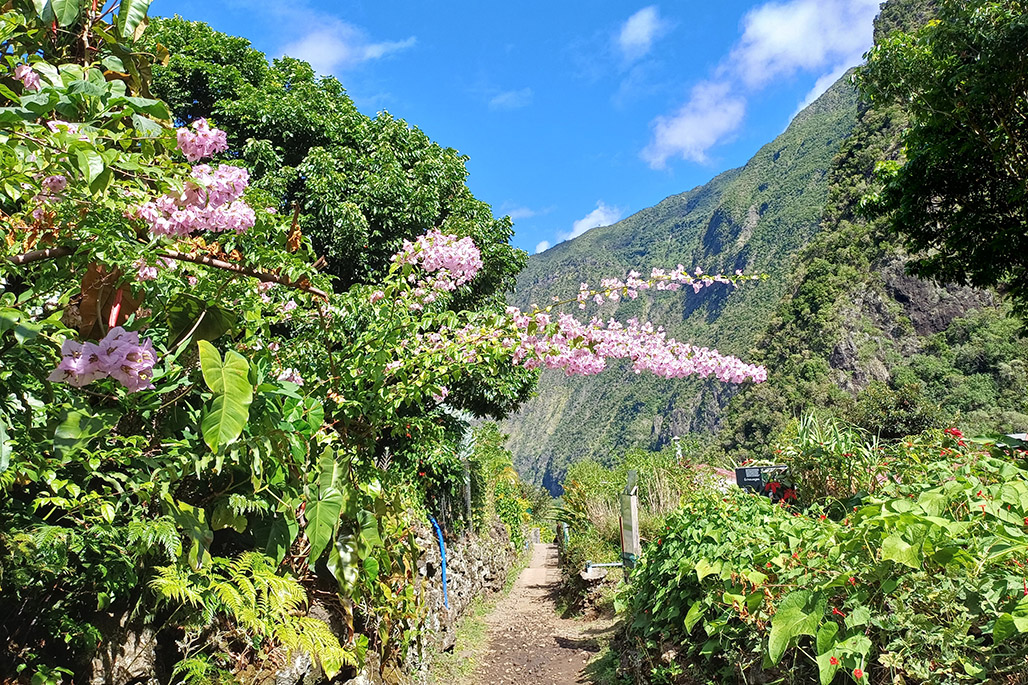 Photo 14 - Grand Bassin