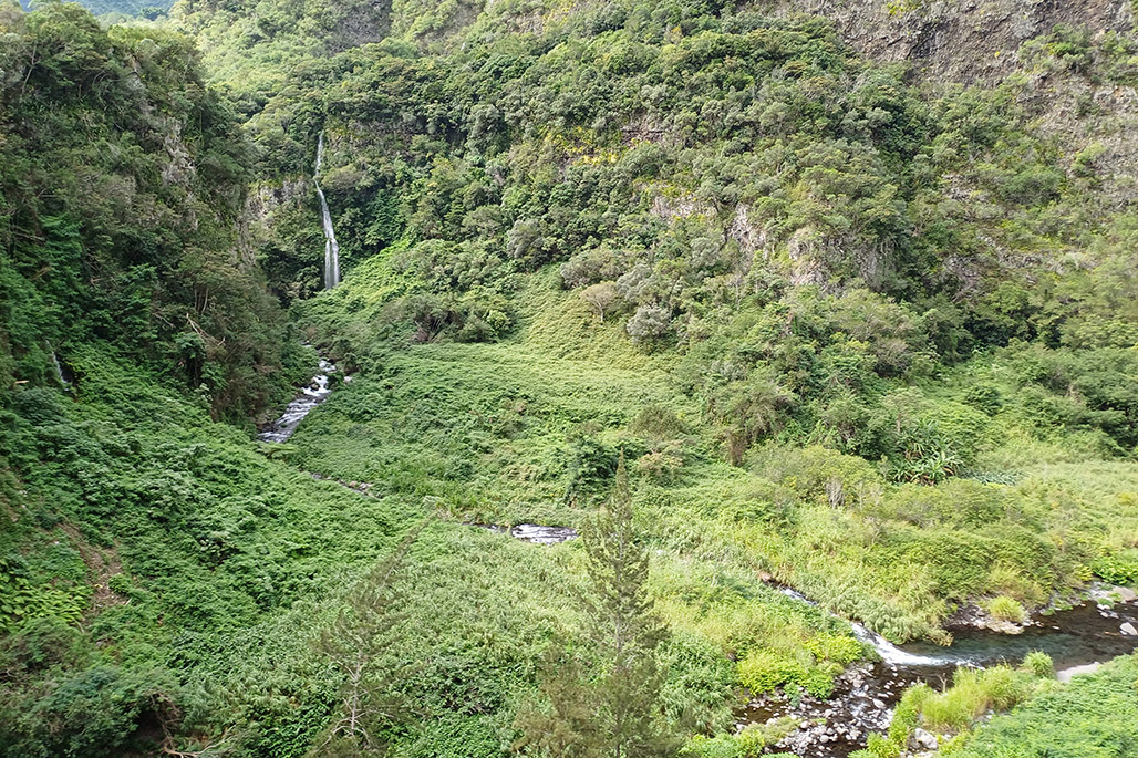 Photo 16 - Grand Bassin