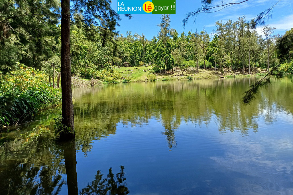 Photos La Mare à Poule d'eau