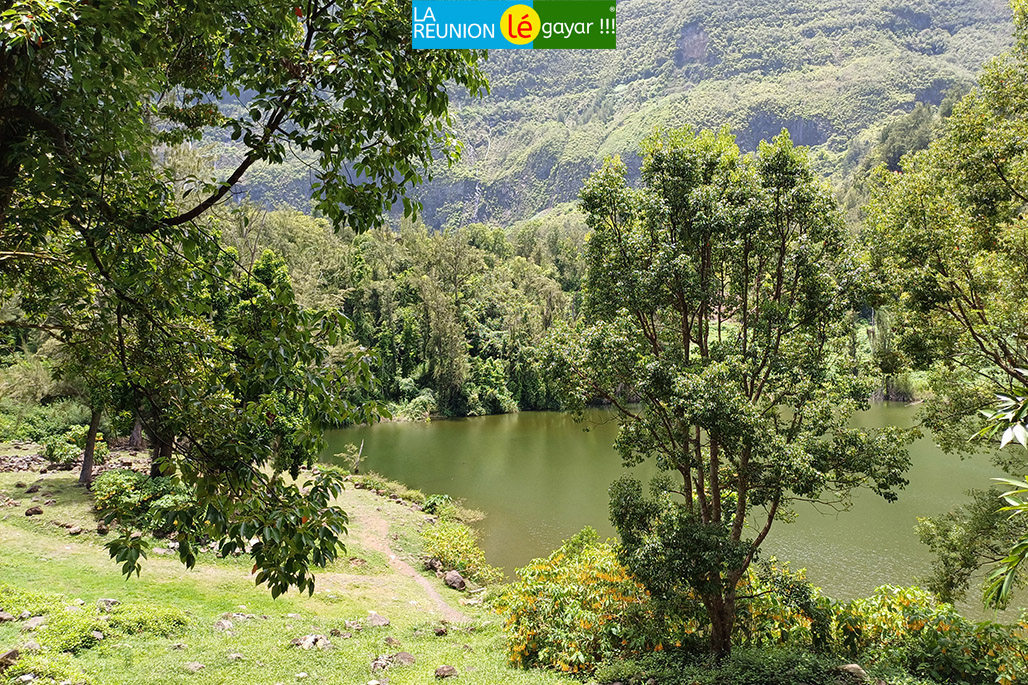 Photo 2 - La Mare à Poule d'eau