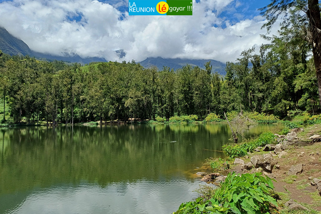 Photo 3 - La Mare à Poule d'eau