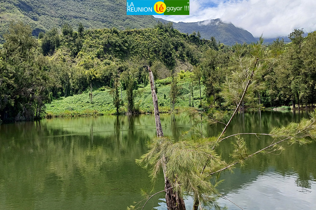 Photo 4 - La Mare à Poule d'eau