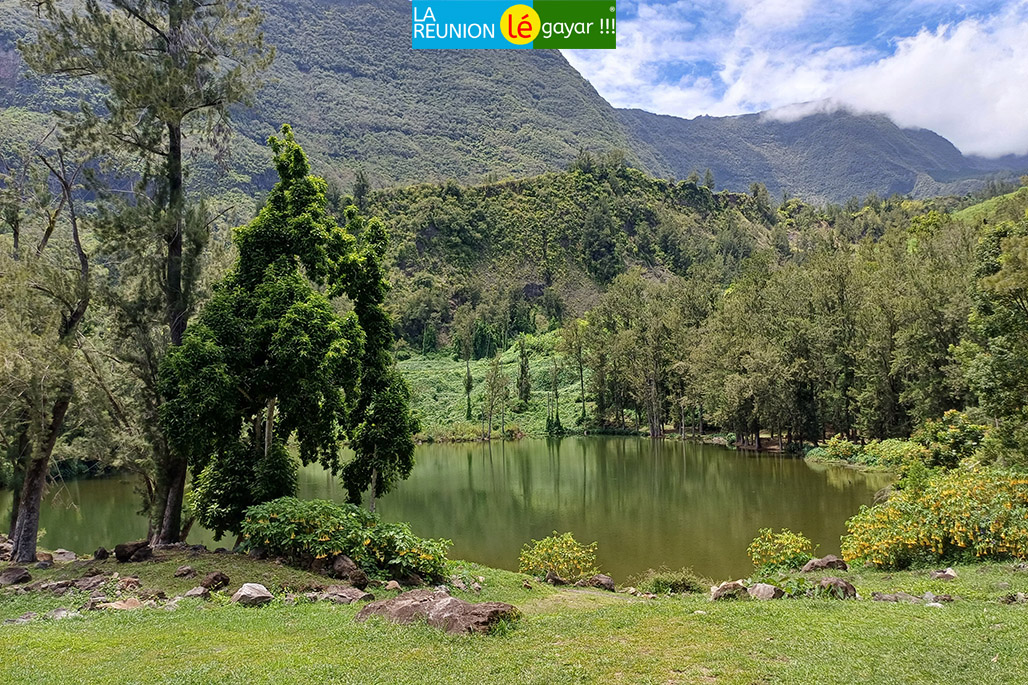 Photo 7 - La Mare à Poule d'eau