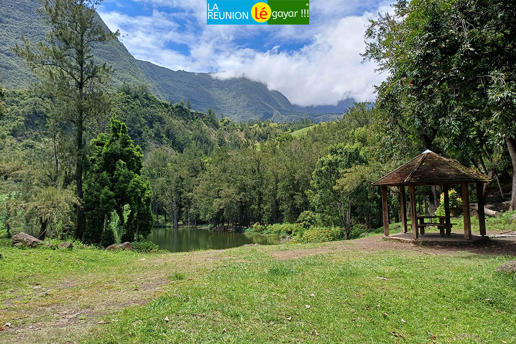 Photo 8 - La Mare à Poule d'eau