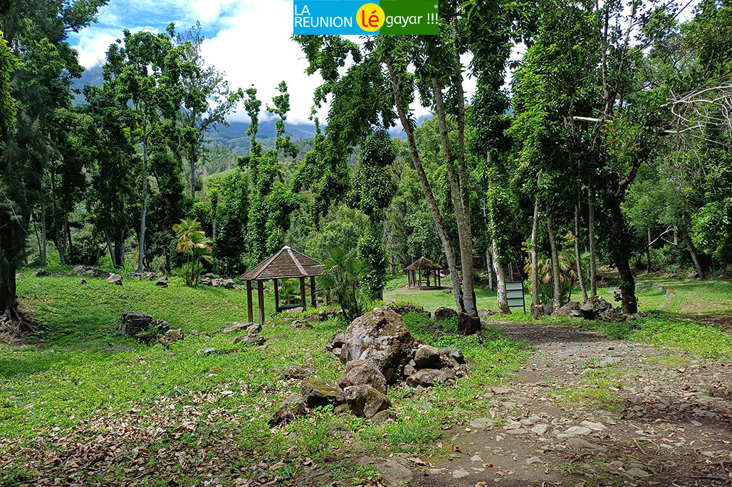 Photo 9 - La Mare à Poule d'eau