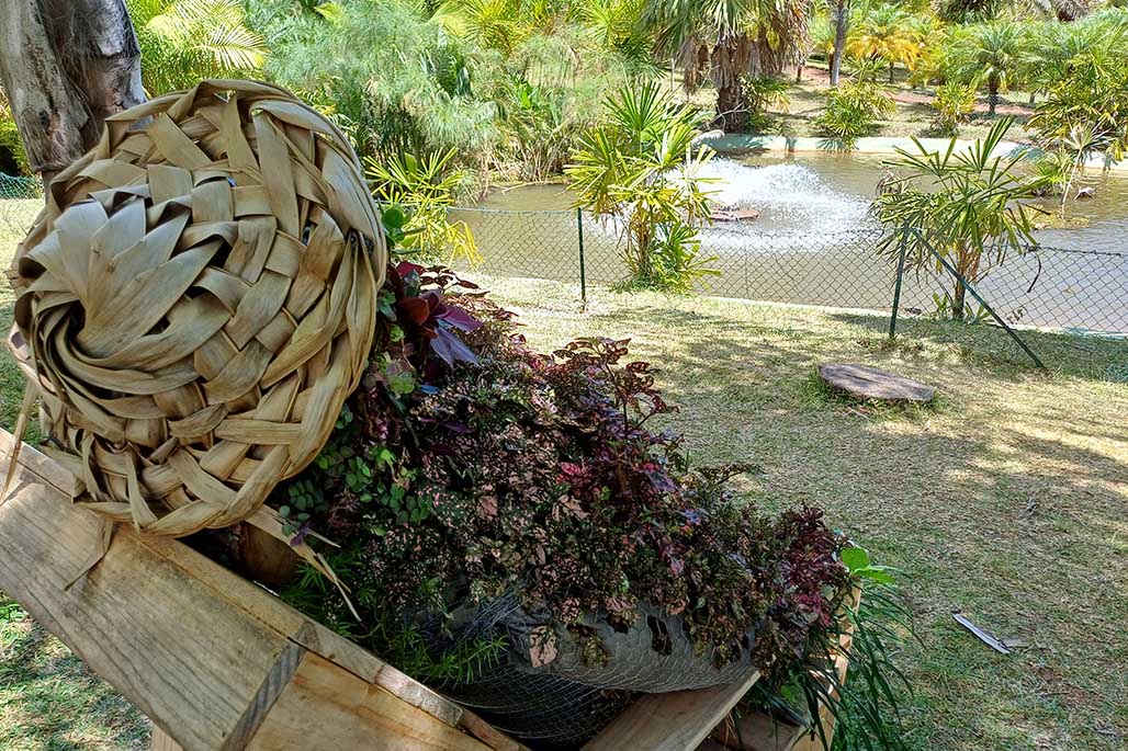 Photo 8 - Le Parc des Palmiers