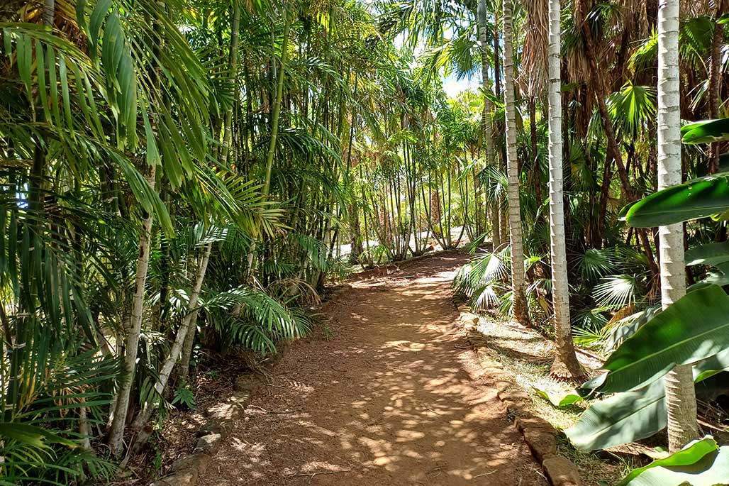 Photo 9 - Le Parc des Palmiers