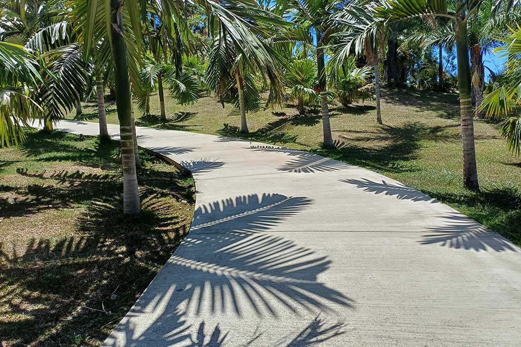 Photo 15 - Le Parc des Palmiers