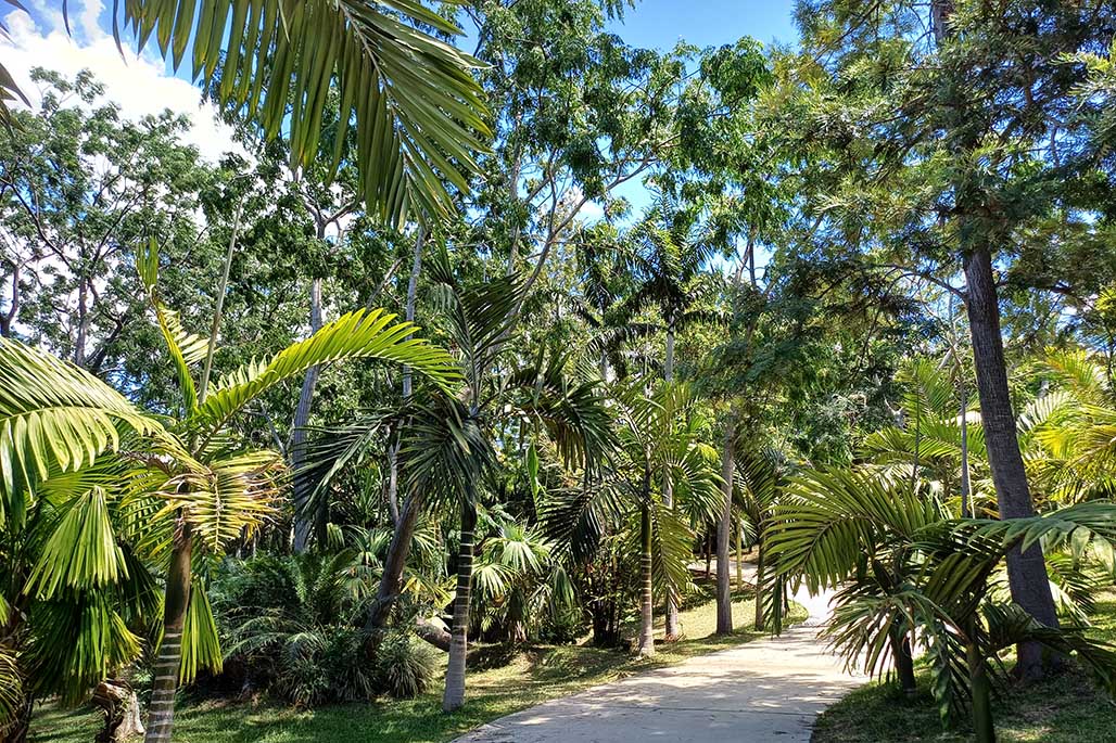 Photo 16 - Le Parc des Palmiers