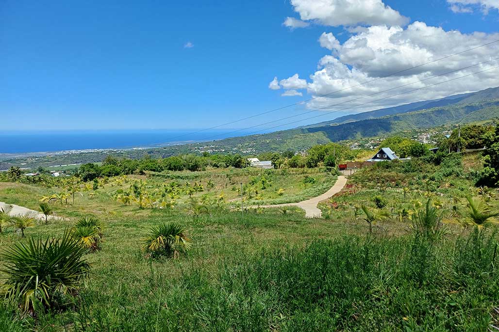 Photo 18 - Le Parc des Palmiers