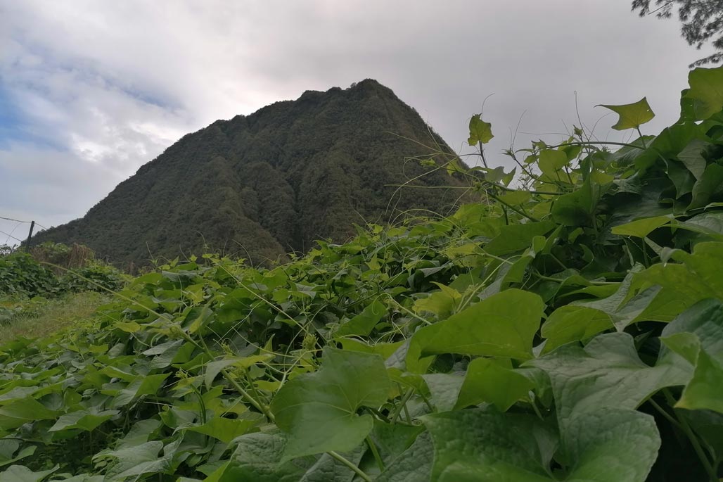 Photo 5 - Le Piton d’Anchaing